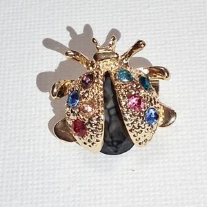 Cute Multicolor Lady Bug Small Brooch